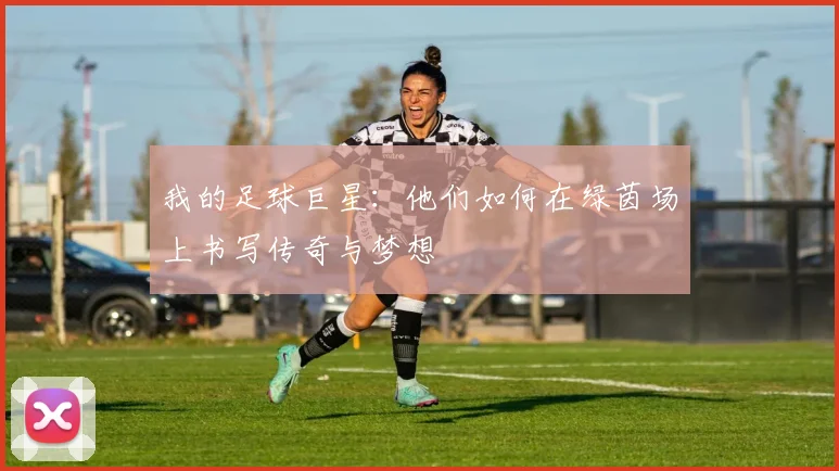 我的足球巨星：他们如何在绿茵场上书写传奇与梦想