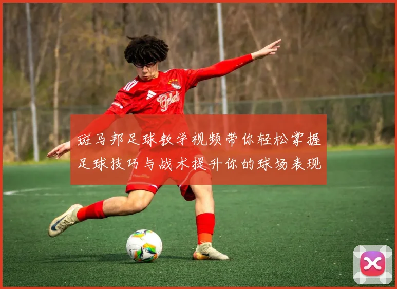 斑马邦足球教学视频带你轻松掌握足球技巧与战术提升你的球场表现